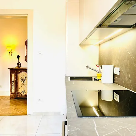 Joy Unirii 4 아파트 티미쇼아라