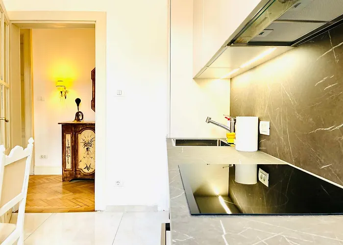 Joy Unirii 4 아파트 티미쇼아라